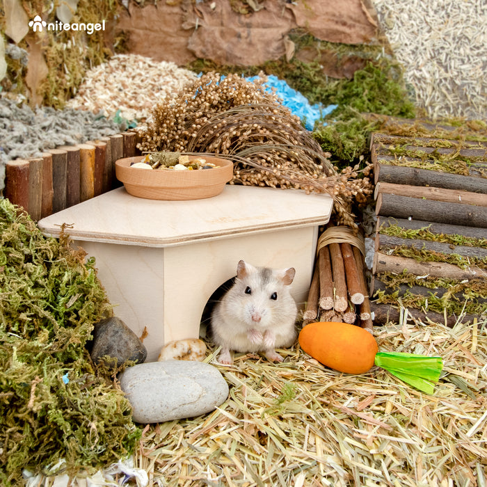 Niteangel Hamster House for Hamsters Gerbils Mice or Similar-Sized Pets (Triangle-Shaped Hamster Hut)