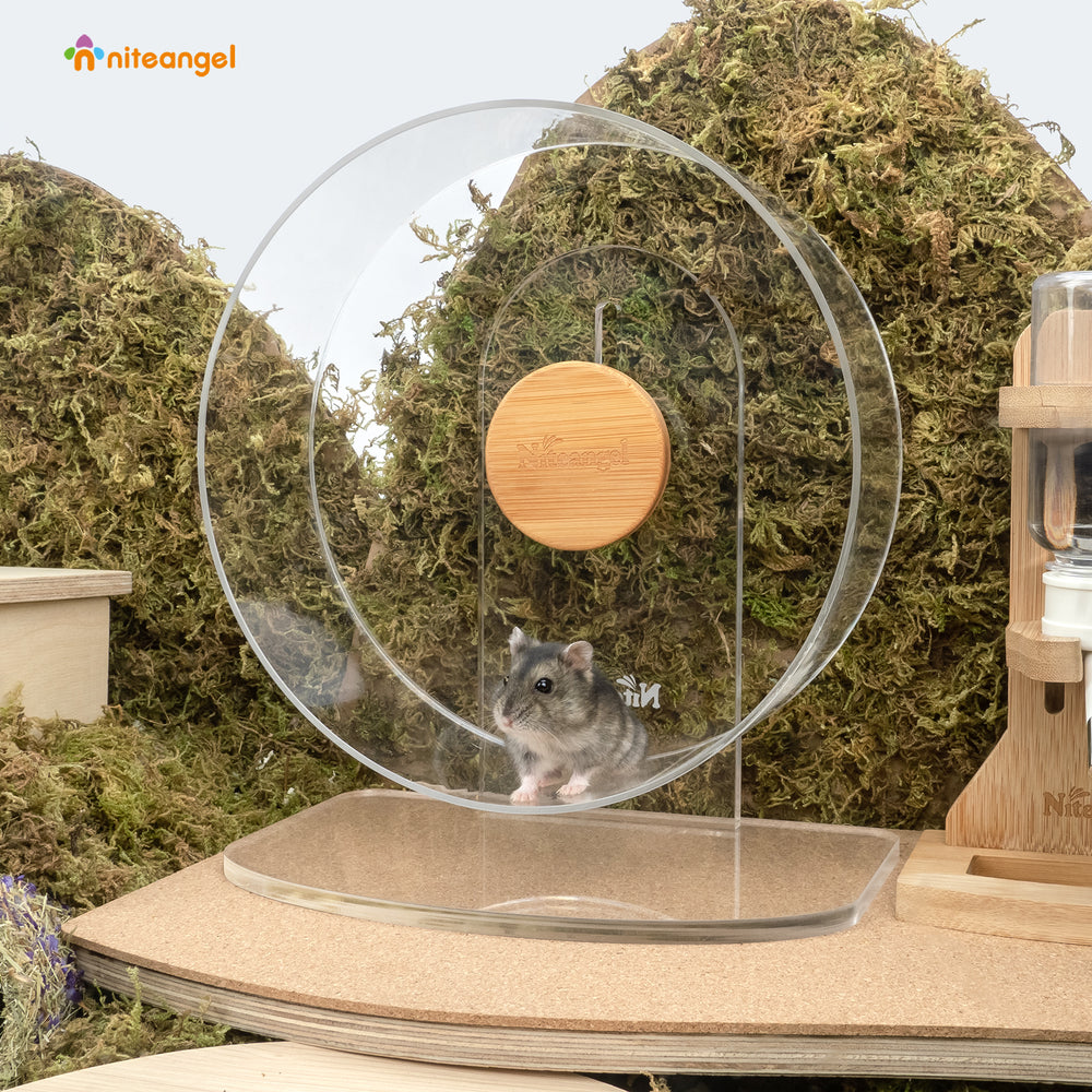 Niteangel Silent Hamster Exercise Wheel: Dual-Bearing Quiet Spinning Acrylic Hamster Running Wheel for Dwarf Hamster Gerbils Mice Degus Or Other Small Animals