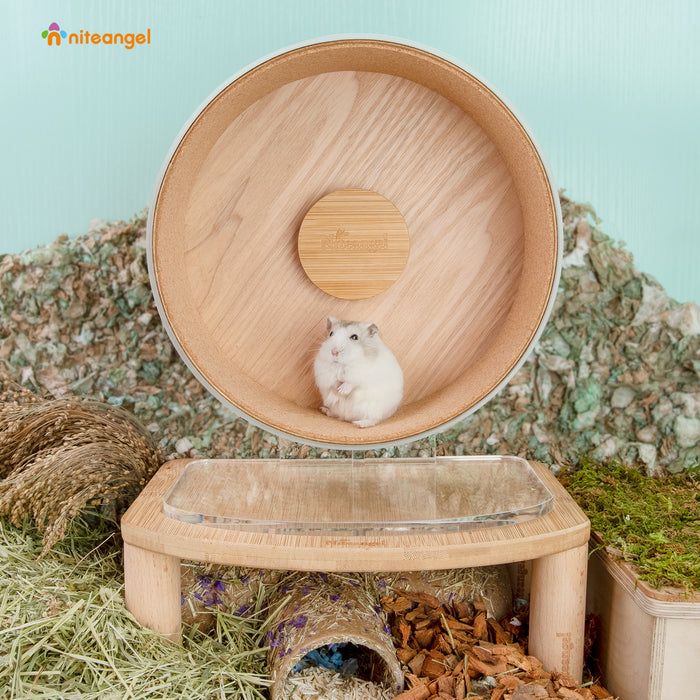 Niteangel Silent Hamster Exercise Wheel: Dual-Bearing Quiet Spinning Acrylic Hamster Running Wheel for Dwarf Hamster Gerbils Mice Degus Or Other Small Animals