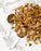 Niteangel Hamster Food Scoop - Stainless Steel Measuring Scoop for Dwarf Syrian Hamsters Gerbils Mice Degus or Other Similar-Sized Small Pets
