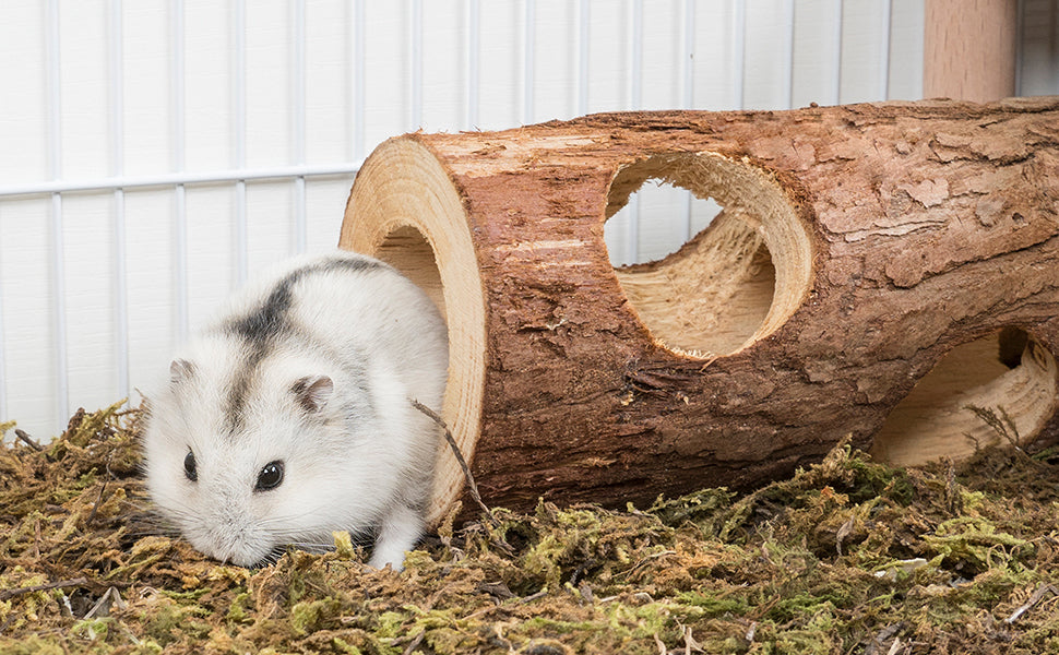 Niteangel Natural Wooden Hamster Mouse Tunnel Tube Toy Forest Hollow Tree Trunk