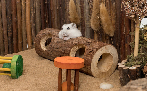 Niteangel Natural Wooden Hamster Mouse Tunnel Tube Toy Forest Hollow Tree Trunk