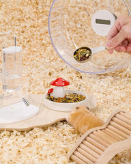 Niteangel Hamster Food Scoop - Stainless Steel Measuring Scoop for Dwarf Syrian Hamsters Gerbils Mice Degus or Other Similar-Sized Small Pets