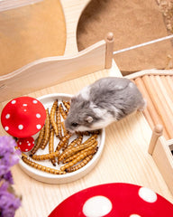 Niteangel Hamster Snack Toy - Natural treats for small animals for dwarf Syria robot hamsters, gerbils, rats or other small pets