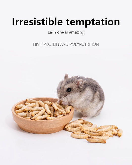 Niteangel Hamster Snack Toy - Natural treats for small animals for dwarf Syria robot hamsters, gerbils, rats or other small pets