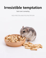 Niteangel Hamster Snack Toy - Natural treats for small animals for dwarf Syria robot hamsters, gerbils, rats or other small pets