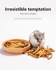 Niteangel Hamster Snack Toy - Natural treats for small animals for dwarf Syria robot hamsters, gerbils, rats or other small pets