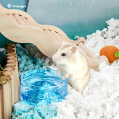 Niteangel Hamster Feeding & Water Bowls - Small Animal Glass Drinking Bowls for Dwarf Syrian Hamsters Gerbils Mice Rats or Other Similar-Sized Small Pets