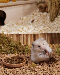 Niteangel Hamster Snack Toy - Natural treats for small animals for dwarf Syria robot hamsters, gerbils, rats or other small pets