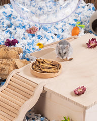 Niteangel Hamster Snack Toy - Natural treats for small animals for dwarf Syria robot hamsters, gerbils, rats or other small pets