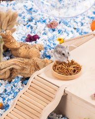 Niteangel Hamster Snack Toy - Natural treats for small animals for dwarf Syria robot hamsters, gerbils, rats or other small pets