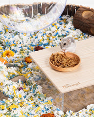 Niteangel Hamster Snack Toy - Natural treats for small animals for dwarf Syria robot hamsters, gerbils, rats or other small pets