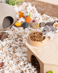 Niteangel Hamster Snack Toy - Natural treats for small animals for dwarf Syria robot hamsters, gerbils, rats or other small pets