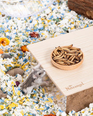 Niteangel Hamster Snack Toy - Natural treats for small animals for dwarf Syria robot hamsters, gerbils, rats or other small pets