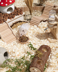 Niteangel Hamster Snack Toy - Natural treats for small animals for dwarf Syria robot hamsters, gerbils, rats or other small pets