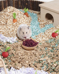 Niteangel Hamster Snack & Treats Toy - Small Animal Natural Treat for Dwarf Syrian Robo Hamsters Gerbils Mice Lemmings Degus or Other Small-Sized Pets