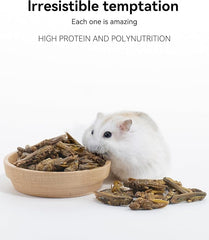 Niteangel Hamster Snack Toy - Natural treats for small animals for dwarf Syria robot hamsters, gerbils, rats or other small pets
