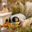 Niteangel Ceramic Hamster Habitat Hideout:  Hideaway House for Syrian Dwarf Hamster Mice Gerbils Lemmings or Other Similar-Sized Small Pet (Stone-Shaped)
