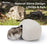 Niteangel Ceramic Hamster Habitat Hideout:  Hideaway House for Syrian Dwarf Hamster Mice Gerbils Lemmings or Other Similar-Sized Small Pet (Stone-Shaped)