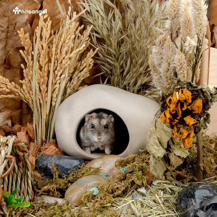 Niteangel Ceramic Hamster Habitat Hideout:  Hideaway House for Syrian Dwarf Hamster Mice Gerbils Lemmings or Other Similar-Sized Small Pet (Stone-Shaped)