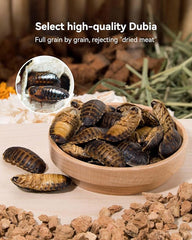 Niteangel Hamster Snack Toy - Natural treats for small animals for dwarf Syria robot hamsters, gerbils, rats or other small pets