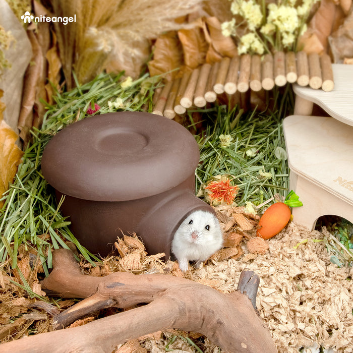 Niteangel Ceramic Hamster Tunnel & Tubes Hideout: for Dwarf Robo Syrian Hamsters Mice Rats or Other Small Animals