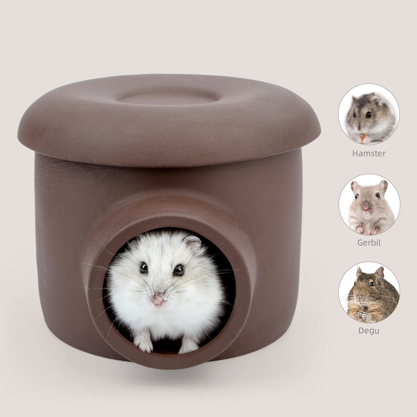 Niteangel Ceramic Hamster Tunnel & Tubes Hideout: for Dwarf Robo Syria ...