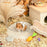 Niteangel Desert Bathing Desert Sand for Hamster Gerbil Mice Degu or Other Small Pets