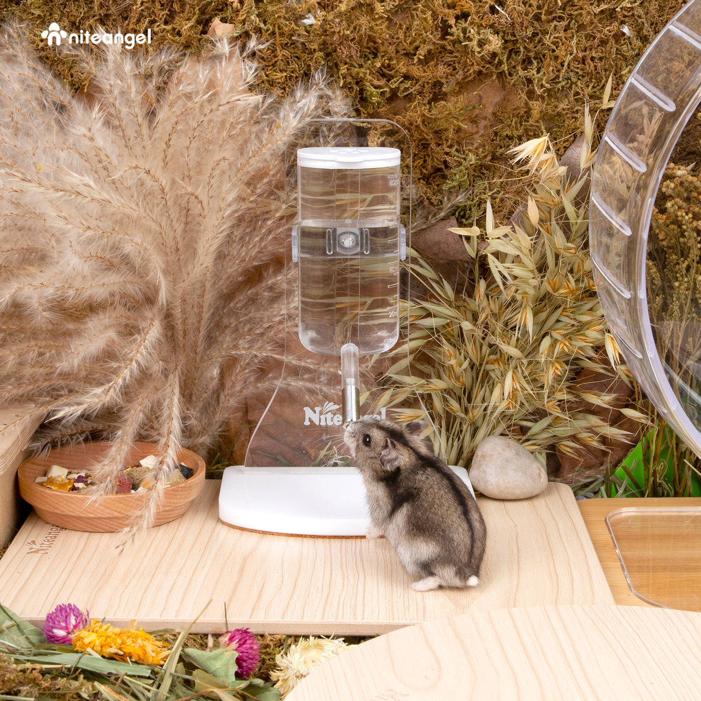 Niteangel 80ml Hamster Water Bottle W/ Stand Gerbil Water Feeder Dis — Niteangel Pet