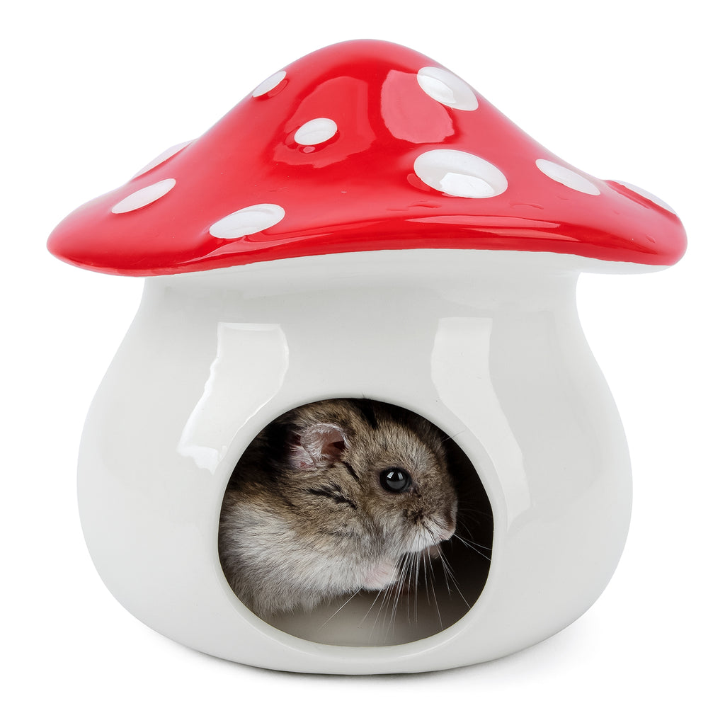 Ceramic hamster hideout 2025