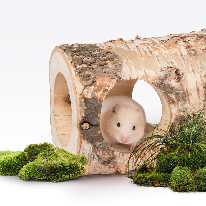 Niteangel Natural Birch Hideout with Tree Holes for Syrian and Dwarf Hamster