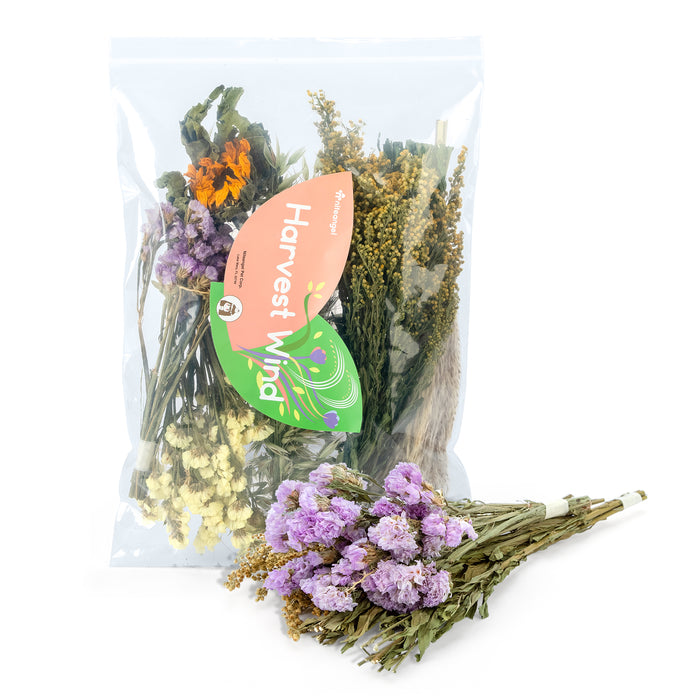 Niteangel harvest wind dried flowers and sprays for hamsters gerbils mice and other small animals