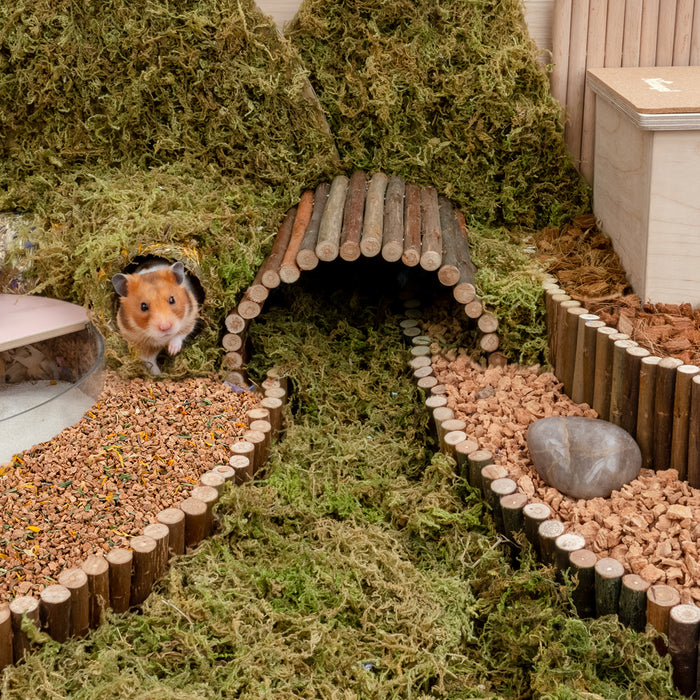 Sand for hamster bedding sale