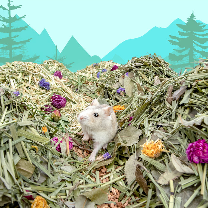 Niteangel Natural & Soft Hamster Bedding for Syrian Dwarf Hamsters or Other Small-Sized Pet