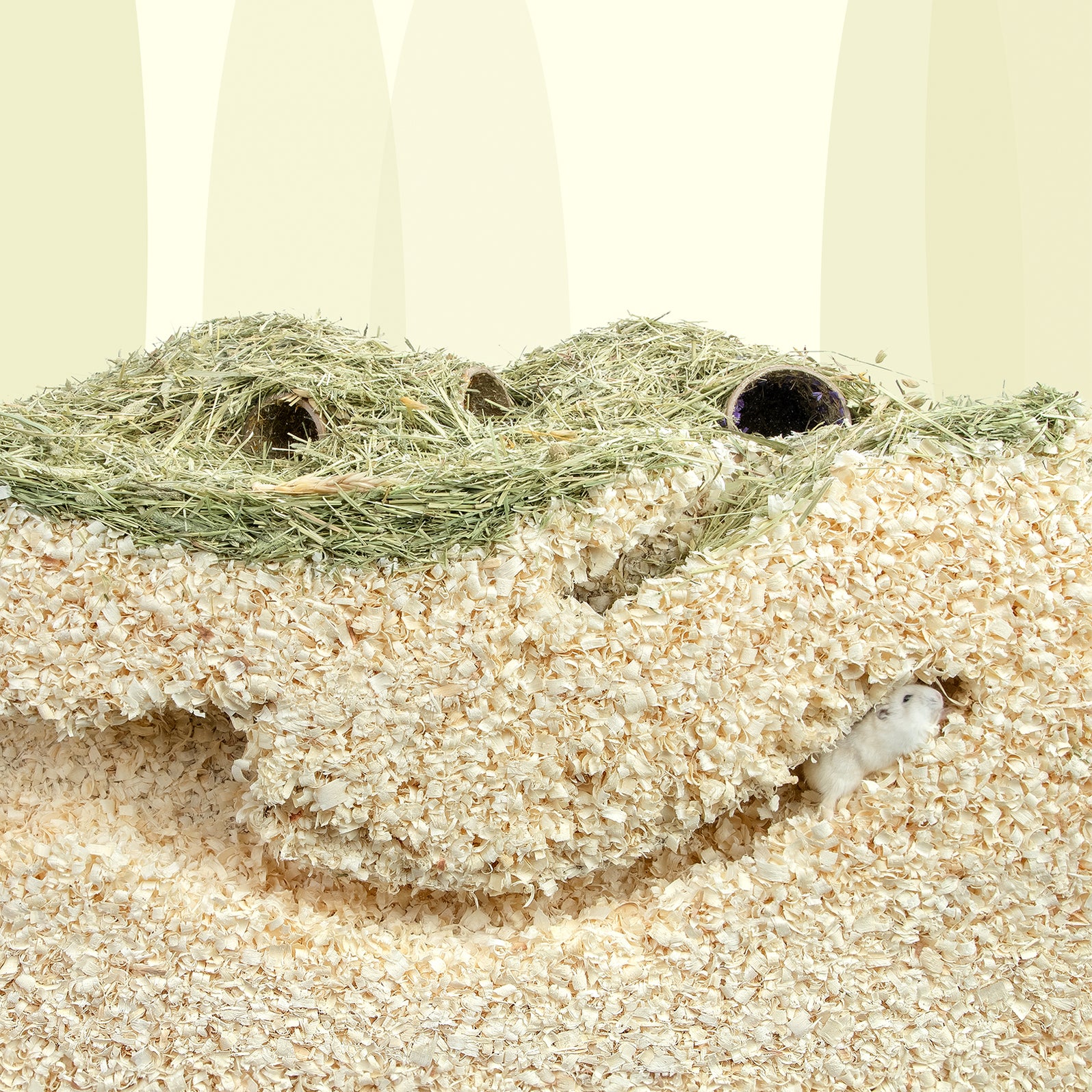 Niteangel 65L Aspen Shaving Hamster Beddings for Syrian Dwarf Hamster