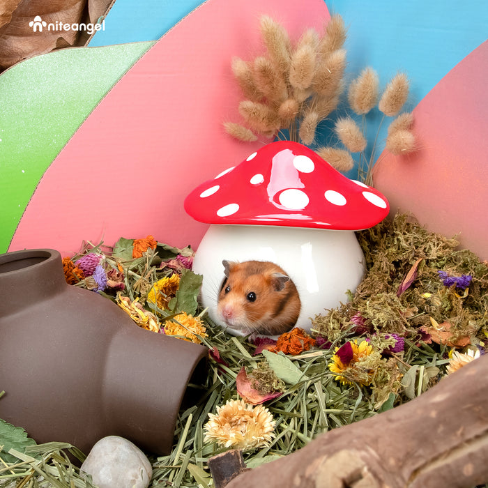 Niteangel Ceramic Hamster Habitat Hideout (Mushroom-Shaped Feeding & Water Bowls)