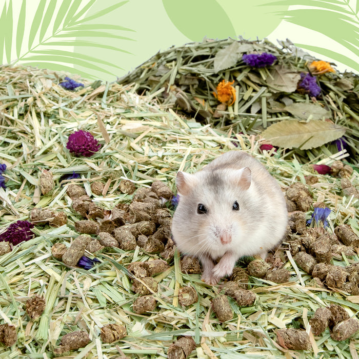 Niteangel Natural & Soft Hamster Bedding for Syrian Dwarf Hamsters or Other Small-Sized Pet