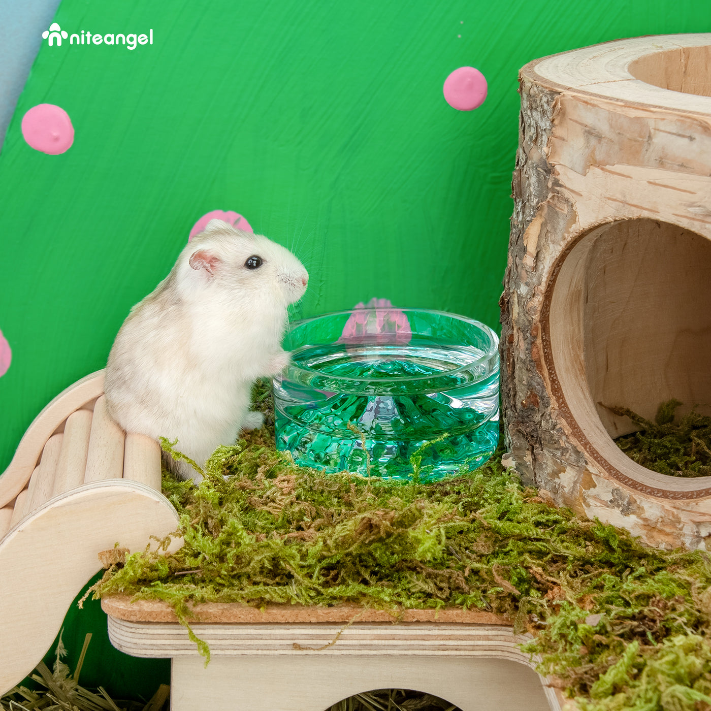 Ciotola Per Acqua In Vetro Niteangel Per Criceti - Serie Mount Fuji, Design Antirovescio, 50 Ml - Foto 6