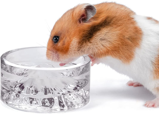 Niteangel Hamster Feeding & Water Bowls - Small Animal Glass Drinking Bowls for Dwarf Syrian Hamsters Gerbils Mice Rats or Other Similar-Sized Small Pets