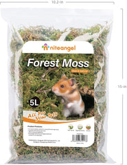 Niteangel Forest Moss Soft Natural Moss Bedding Nesting for Small Pet