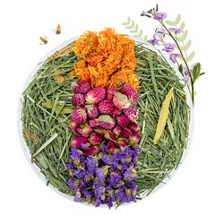 Niteangel Natural & Soft Hamster Bedding for Syrian Dwarf Hamsters or Other Small-Sized Pet