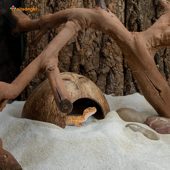 Niteangel 2 Pack Natural Coconut Reptile Hideouts, Lizard, Spider and Aquarium Fish Hide Cave