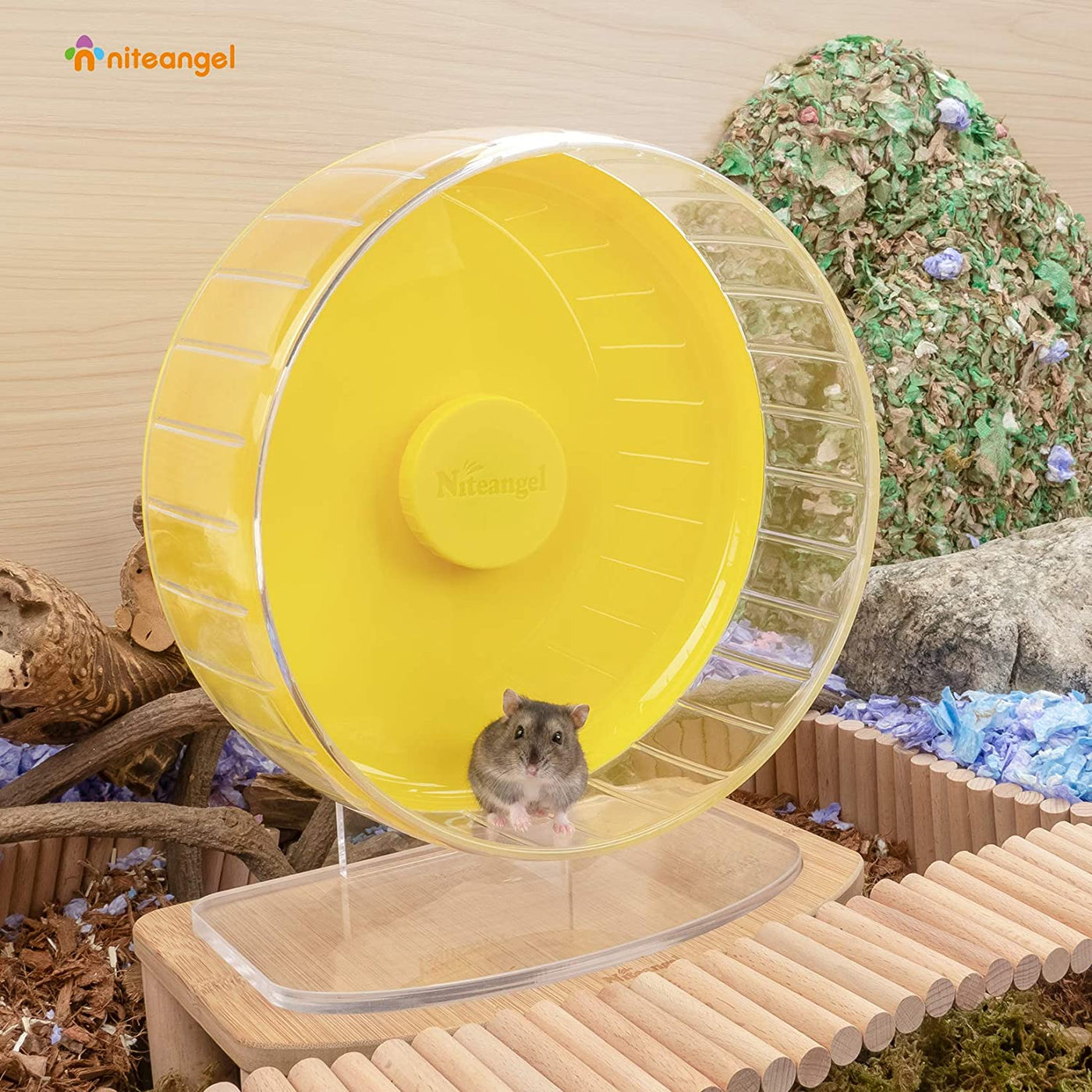 Hamster Exercise Wheel Speed Adjustment photo