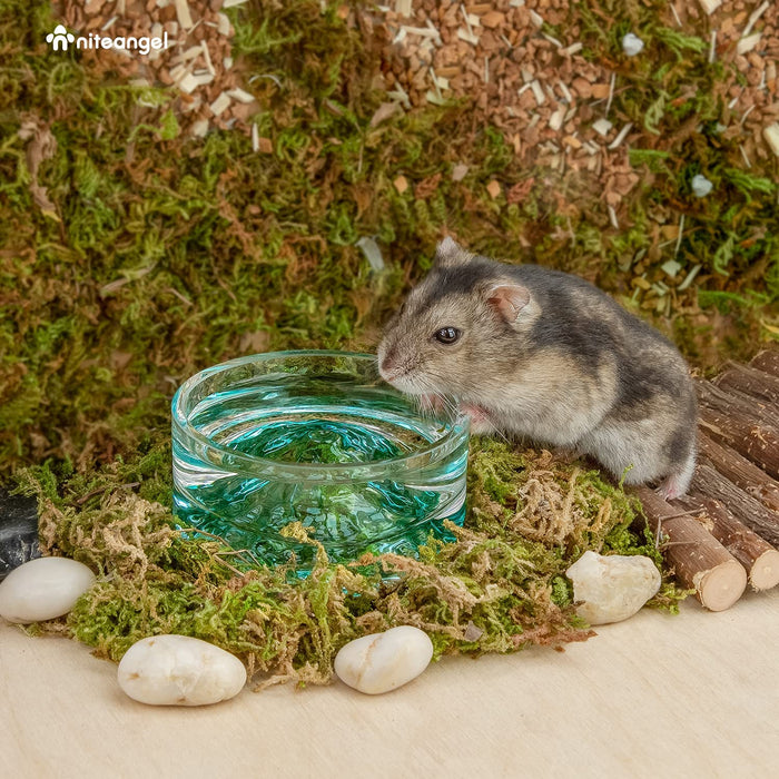 Niteangel Hamster Feeding & Water Bowls - Small Animal Glass Drinking Bowls for Dwarf Syrian Hamsters Gerbils Mice Rats or Other Similar-Sized Small Pets