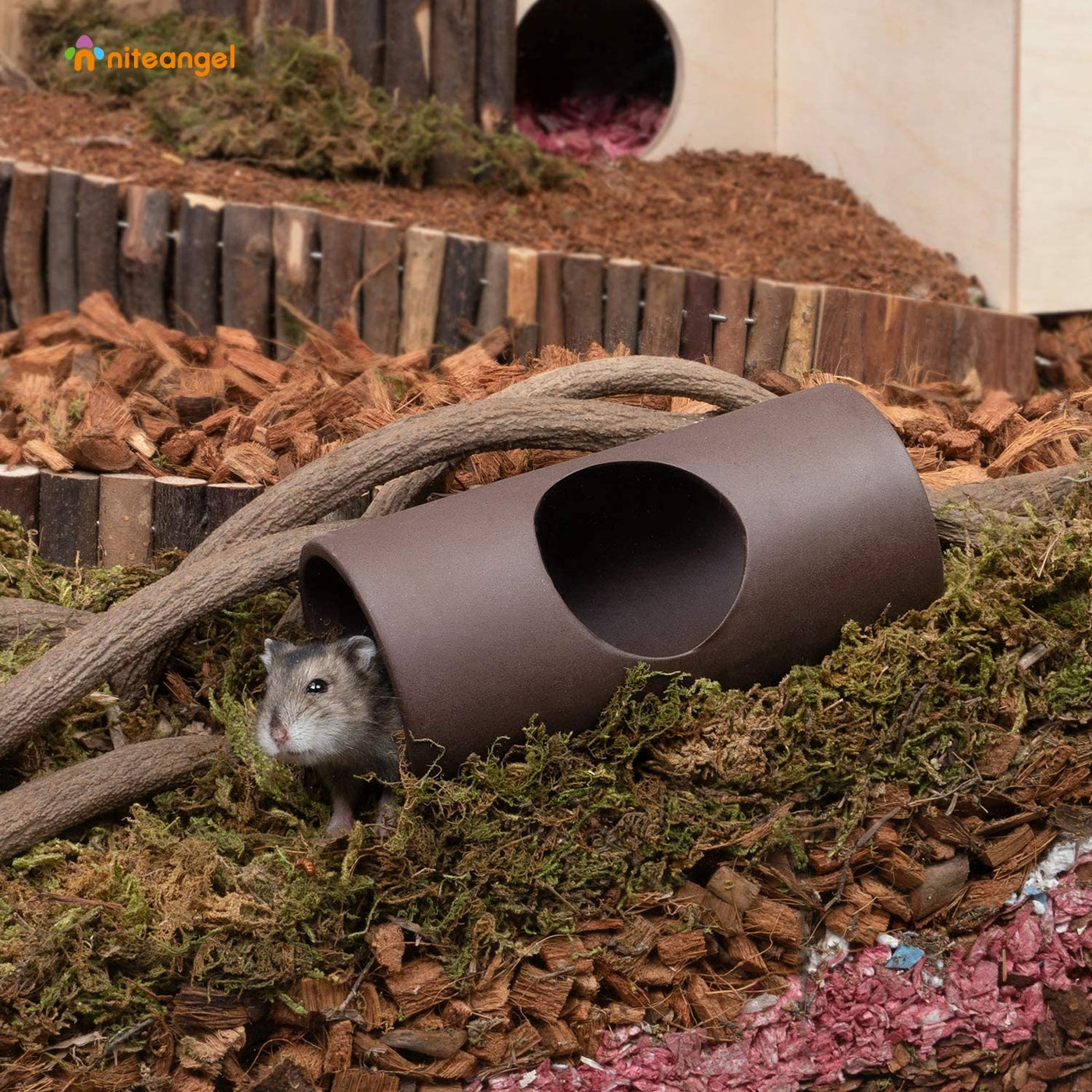 Image showcasing Niteangel Ceramic Hamster Tunnel & Tubes Hideout: for Dwarf Robo Syria ...