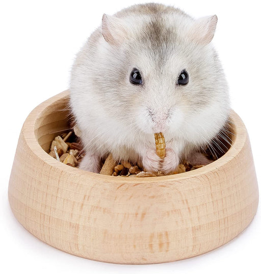 Niteangel Wooden Hamster Feeding Bowl - Small Animal Food Dish for Dwarf Syrian Hamsters Gerbils Mice Degus or Other Similar