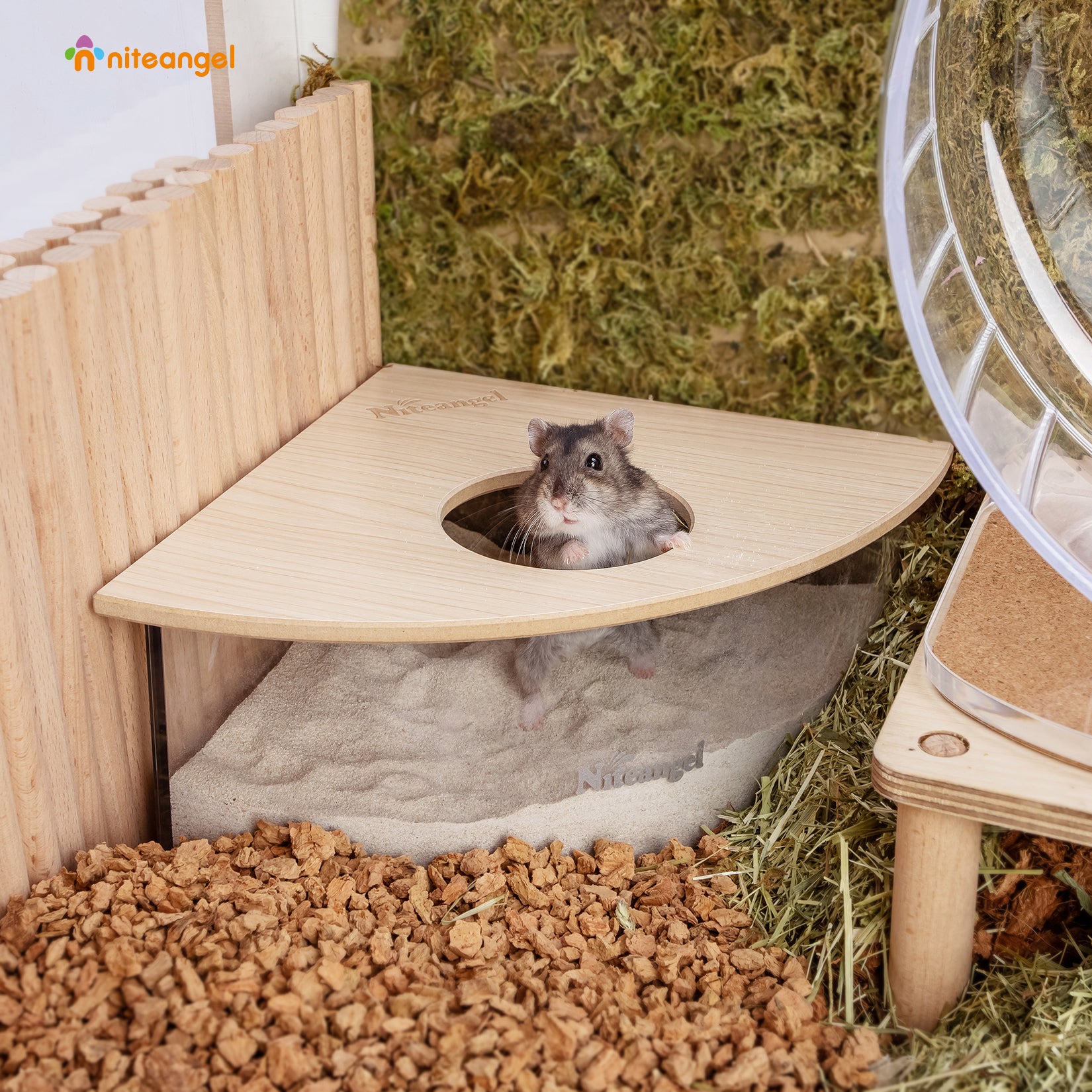 thumbnail image 2 of ＡＷＨＡＯ Deluxe Hamster Sand Bath Box - Premium Acrylic Container For Small Pets, Pentagram S 2 of 12