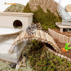 Niteangel Small Animal Climbing Toys - Suspension Bridge Ladder for Hamsters Gerbils Mice Rats or Other Small Pets