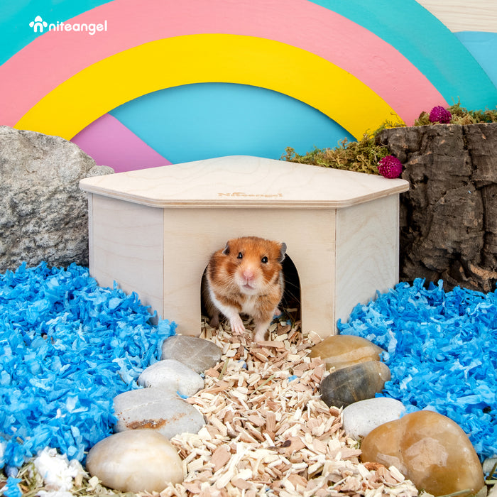 Wooden Hamster Hiding House With Tunnel And Climbing