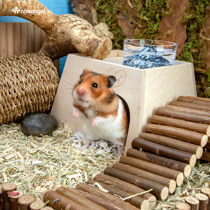 Niteangel Woodland Small Animal Hideout:- for Dwarf Syrian Hamsters Gerbils Mice Rats Degus or Other Similar-Sized Pets